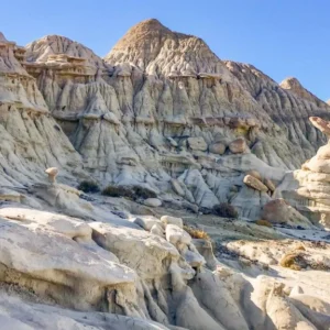 Bosque Petrificado La Leona
