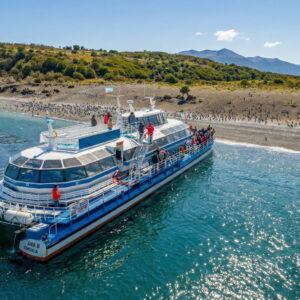 Navegación Pingüinera