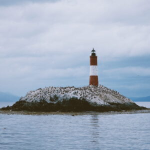 Navegación Isla de Lobos, Pájaros y Faro