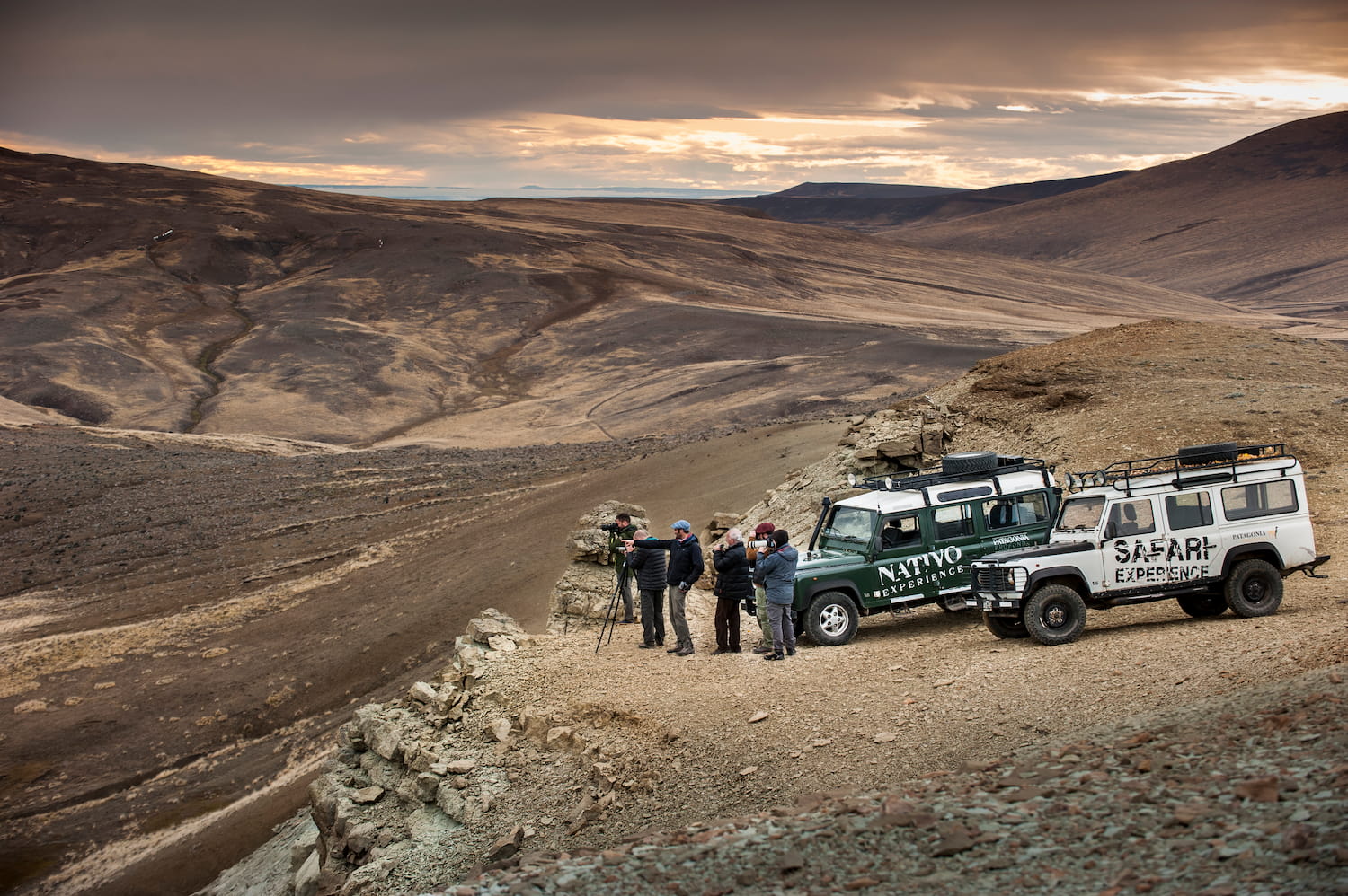 Safari Experience 1 (1)